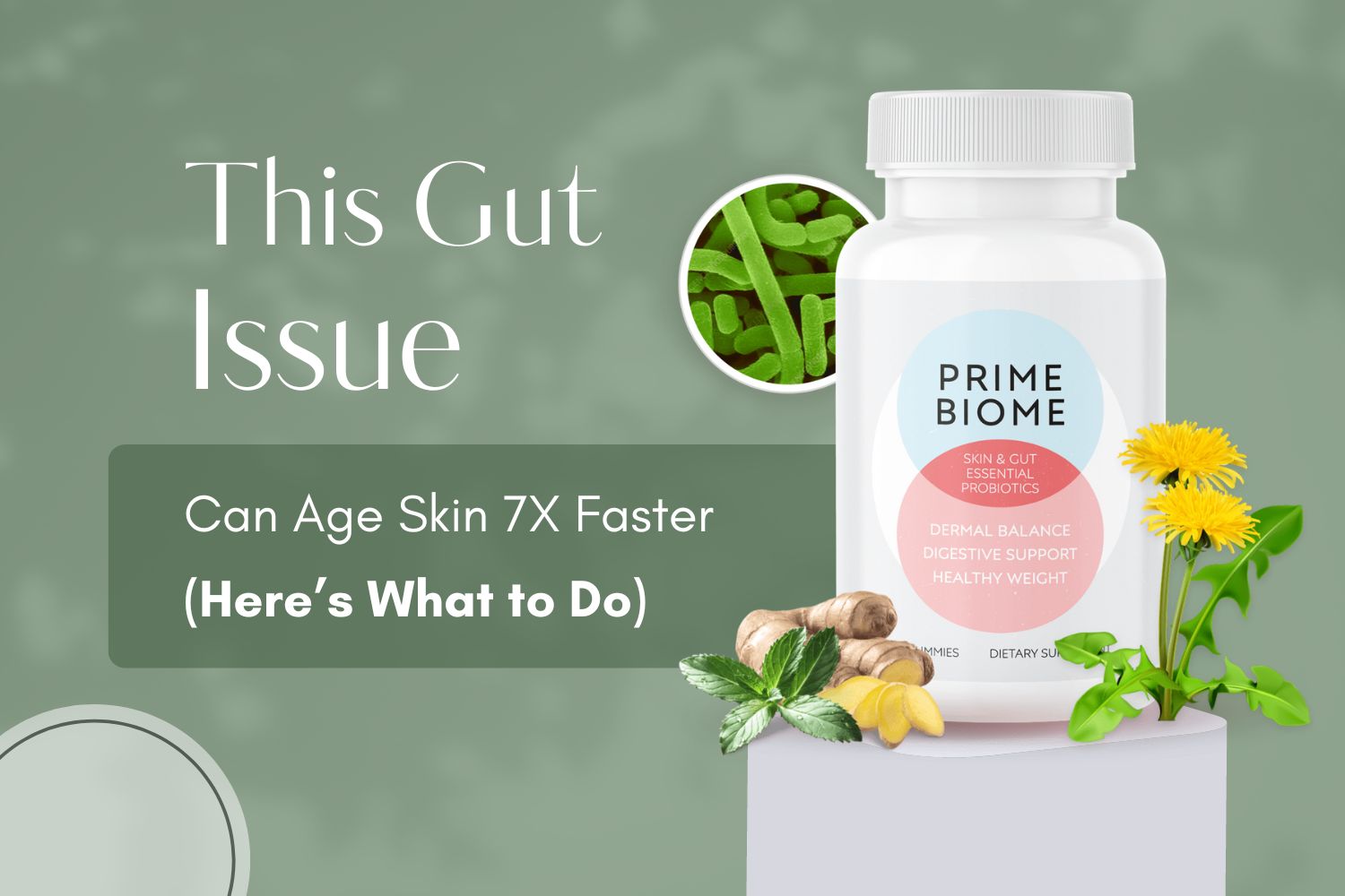 Gut Health Illustration